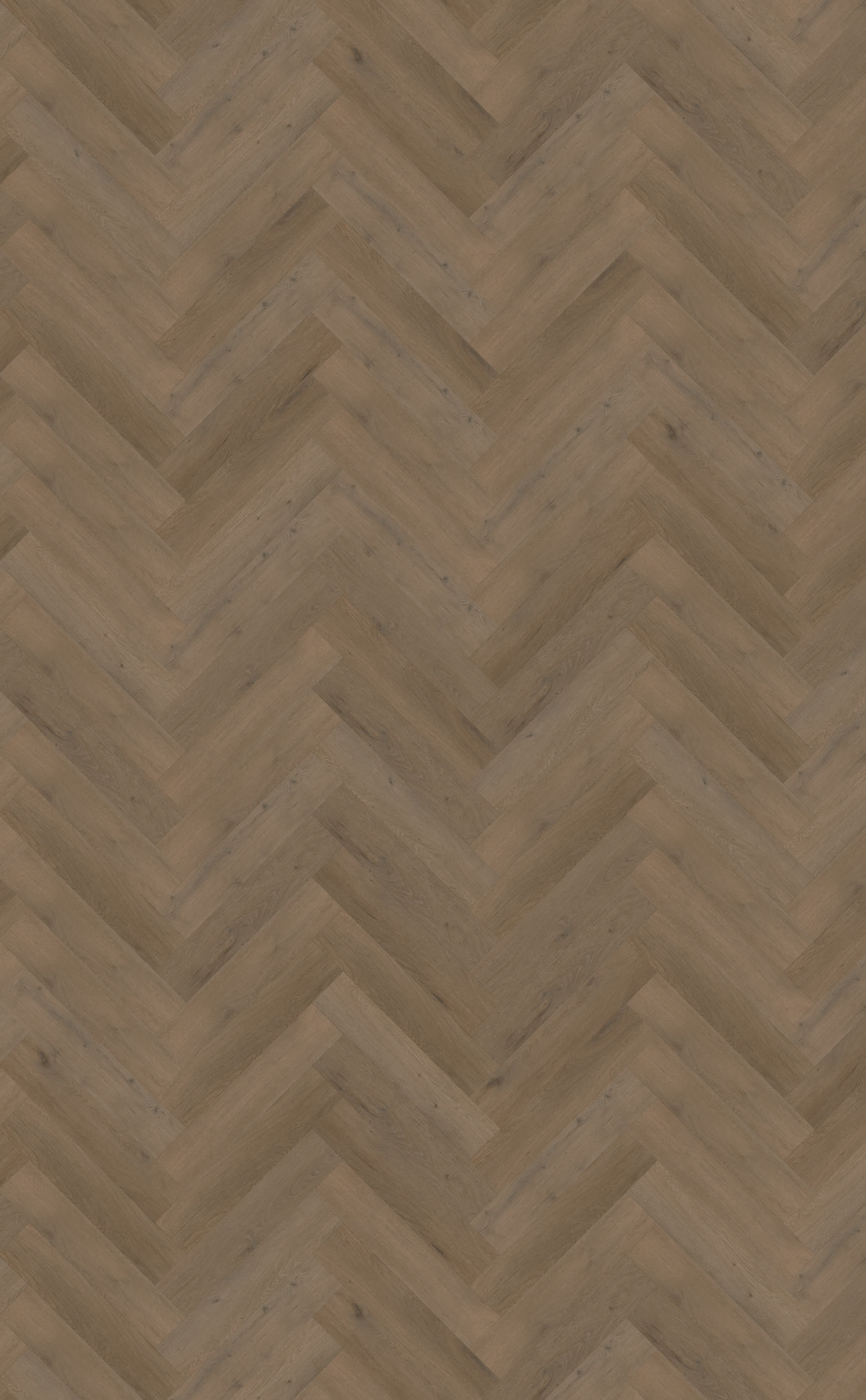 Attico visgraat XL 84 | Rigid Click — Belakos