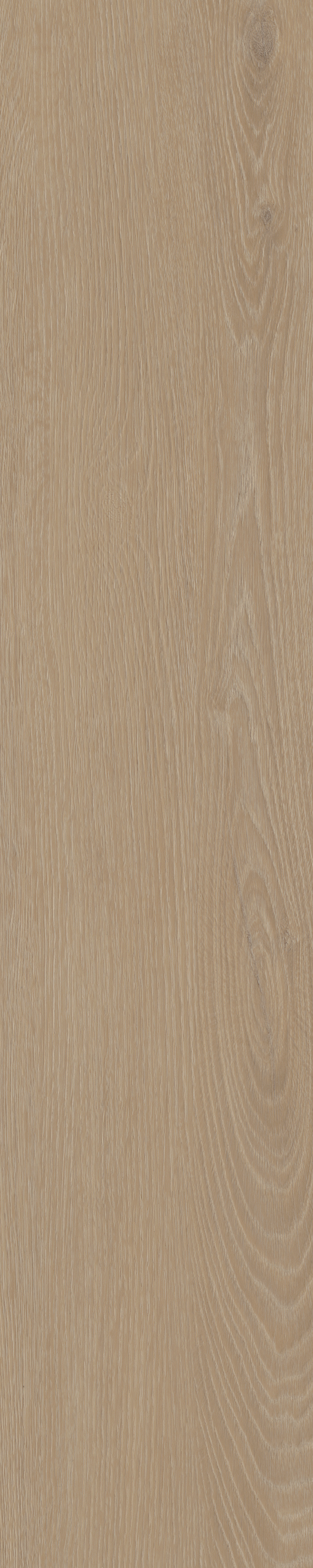 Cervo Walvisgraat W21 — Belakos