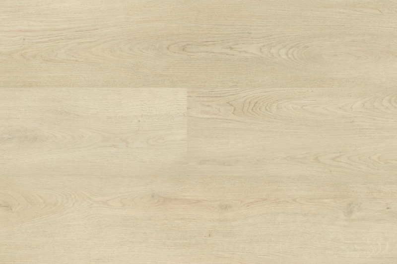 Chablis XL Plank 54854 — Hebeta