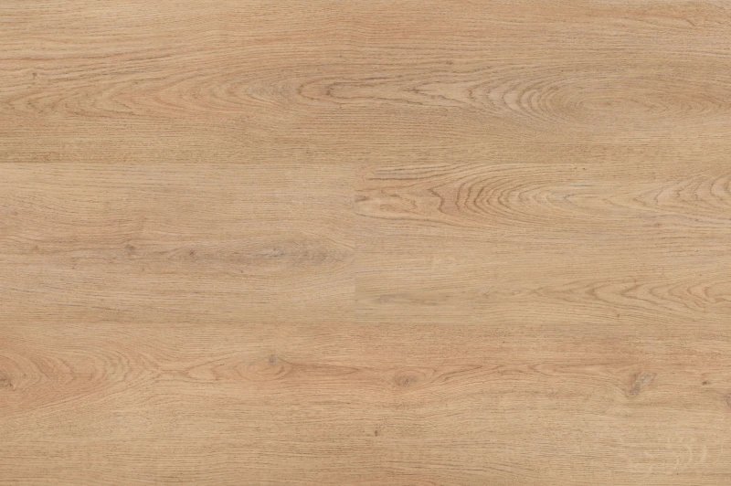 Chablis XL Plank 55859 — Hebeta