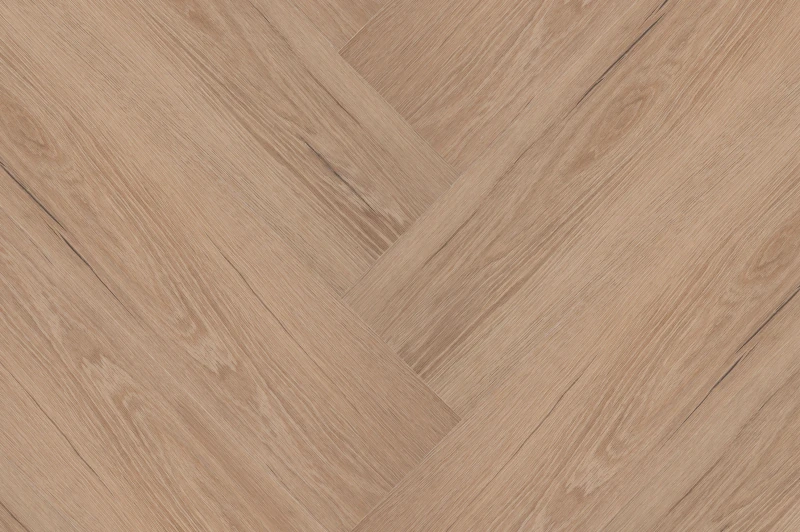 Château Visgraat XL 77850 — Hebeta