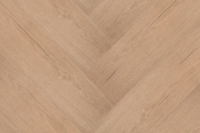 Château Visgraat XL 77851 — Hebeta