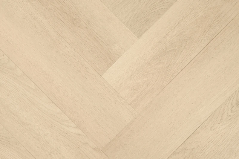 Clermont Visgraat XL 57821 — Hebeta