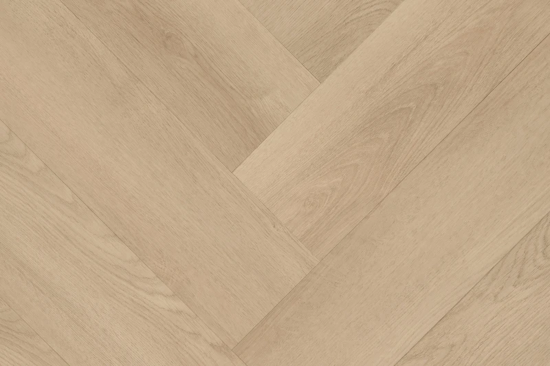 Clermont Visgraat XL 57825 — Hebeta