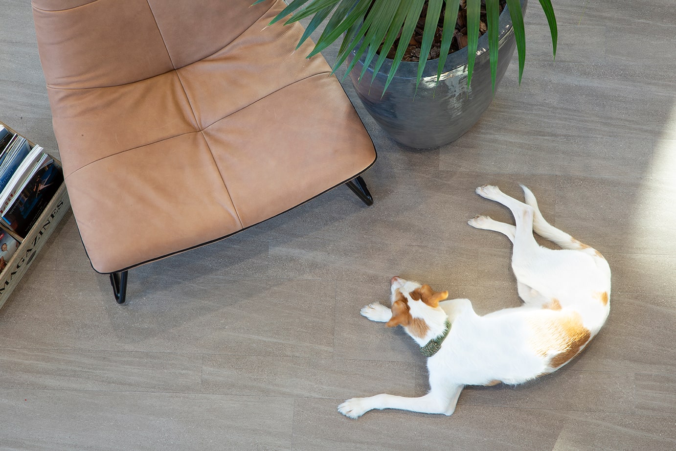 Elements 1608 — TFD Floortile