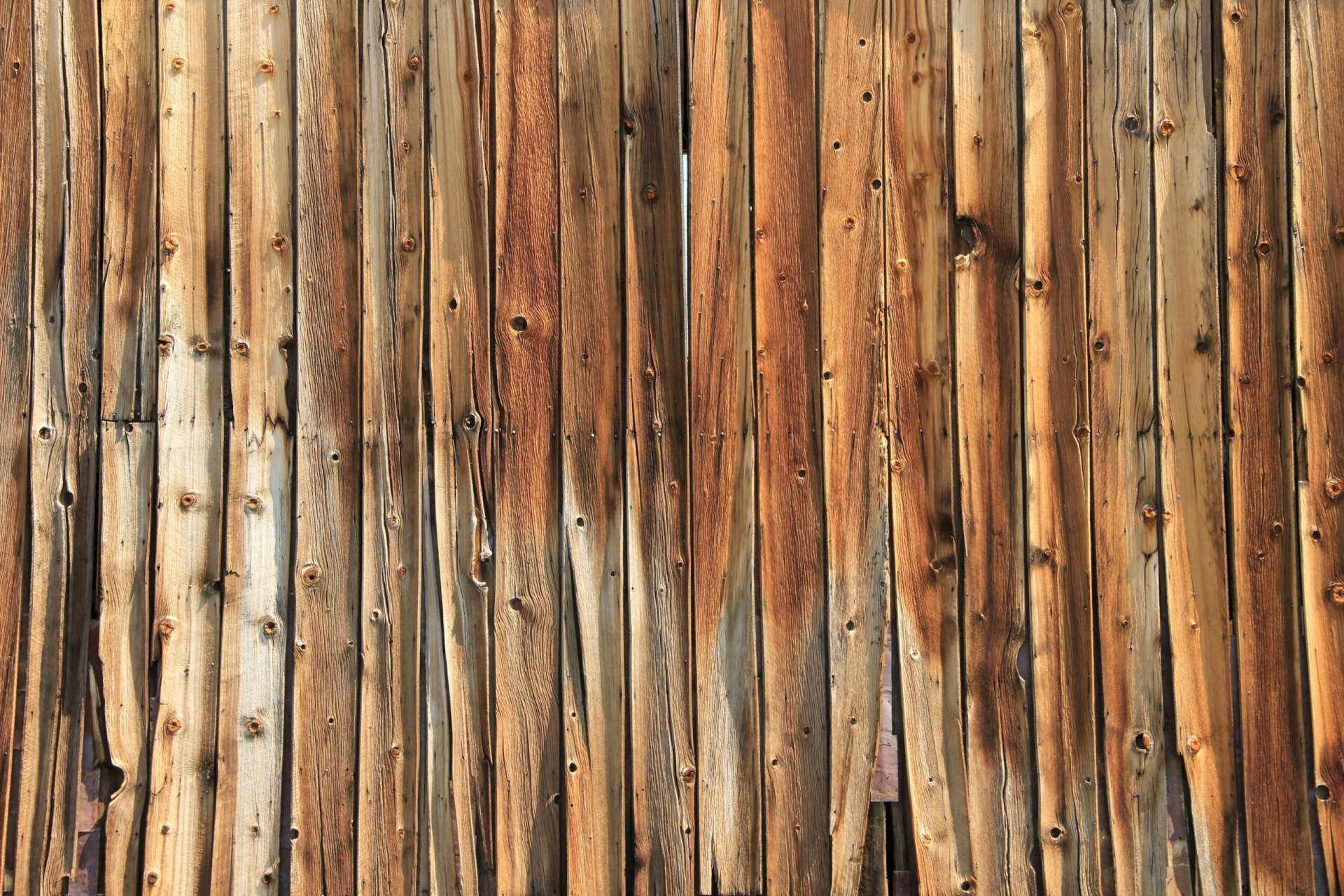 Experience 1 — TFD Floortile