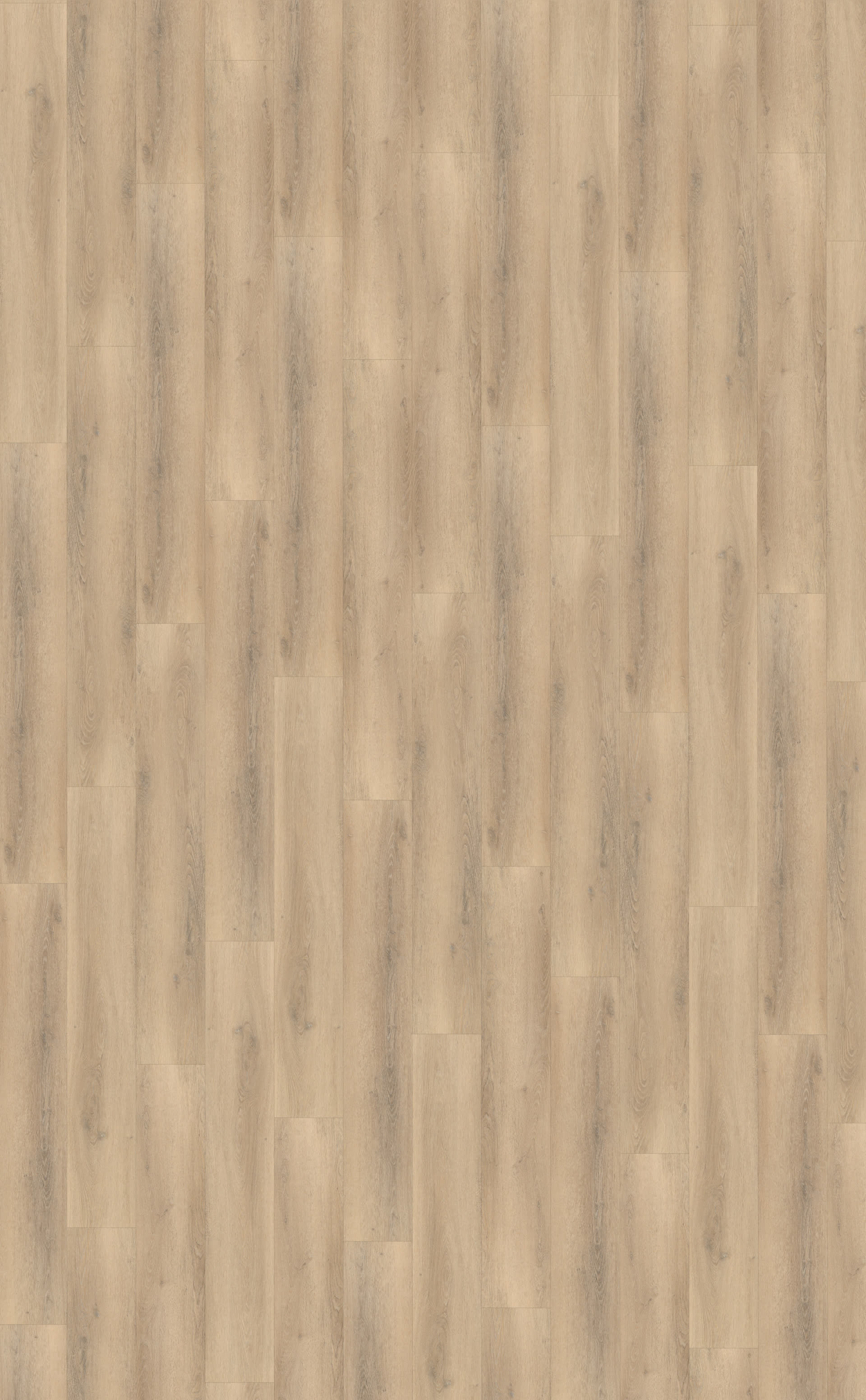 Palazzo 750 Rigid Click — Belakos