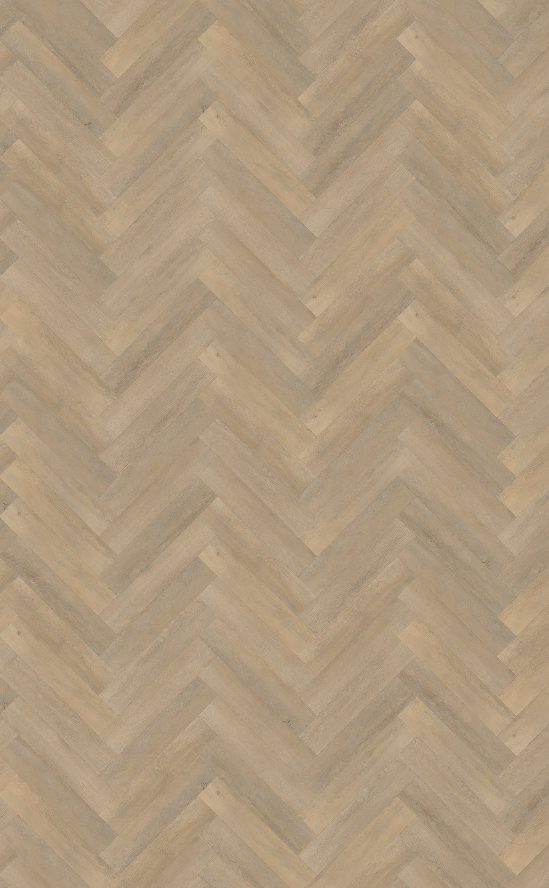 Palazzo visgraat XL 71 | Rigid Click — Belakos
