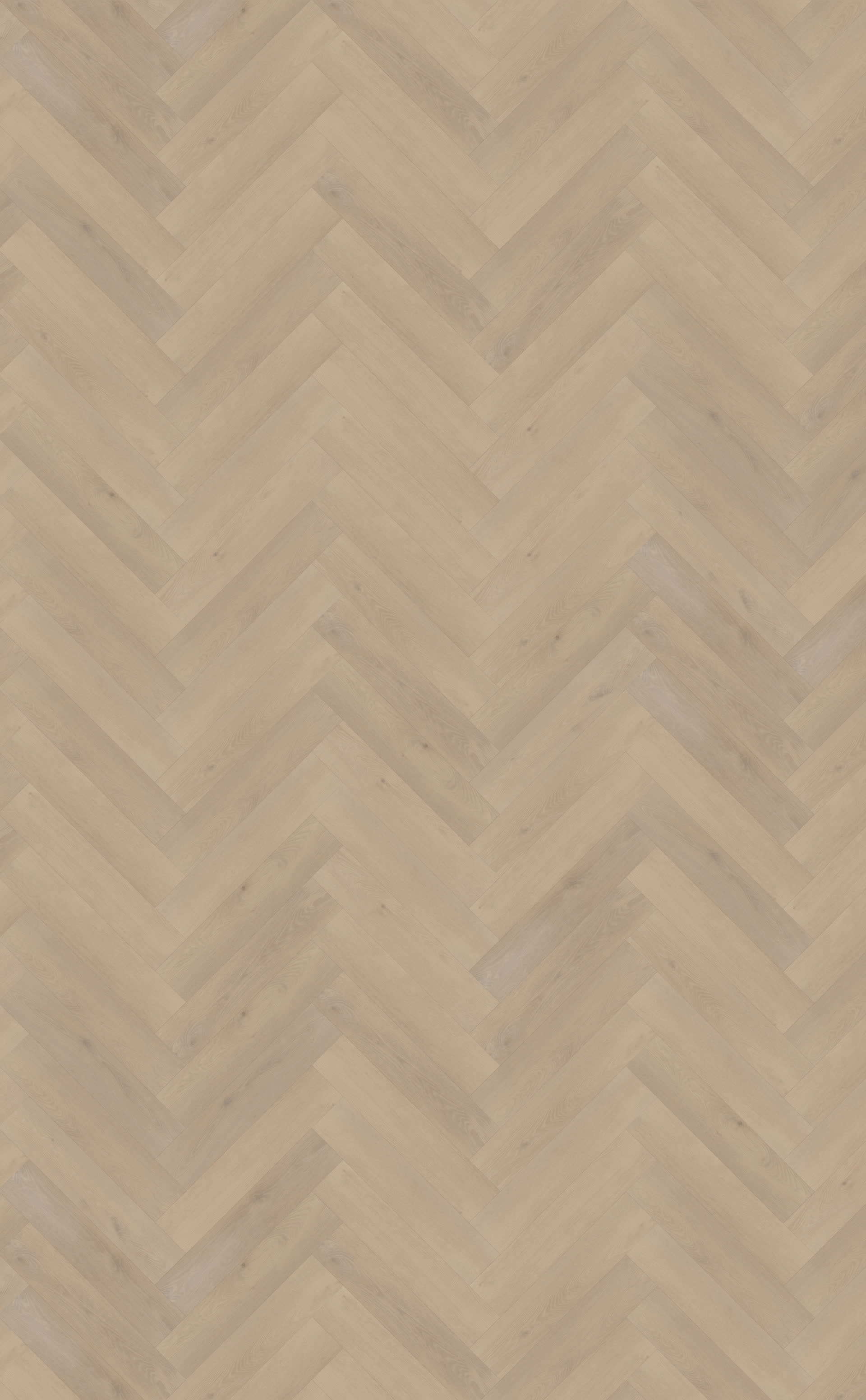 Palazzo visgraat XL 74 | Rigid Click — Belakos