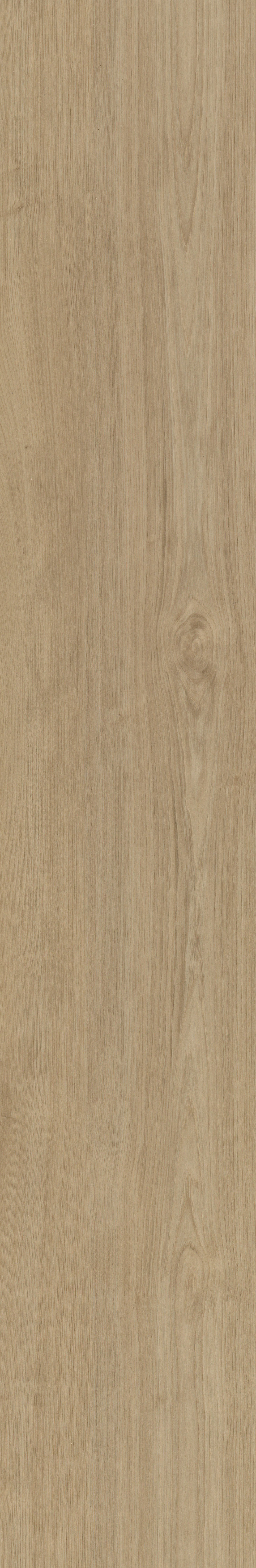 Portico 540 | Rigid Click — Belakos