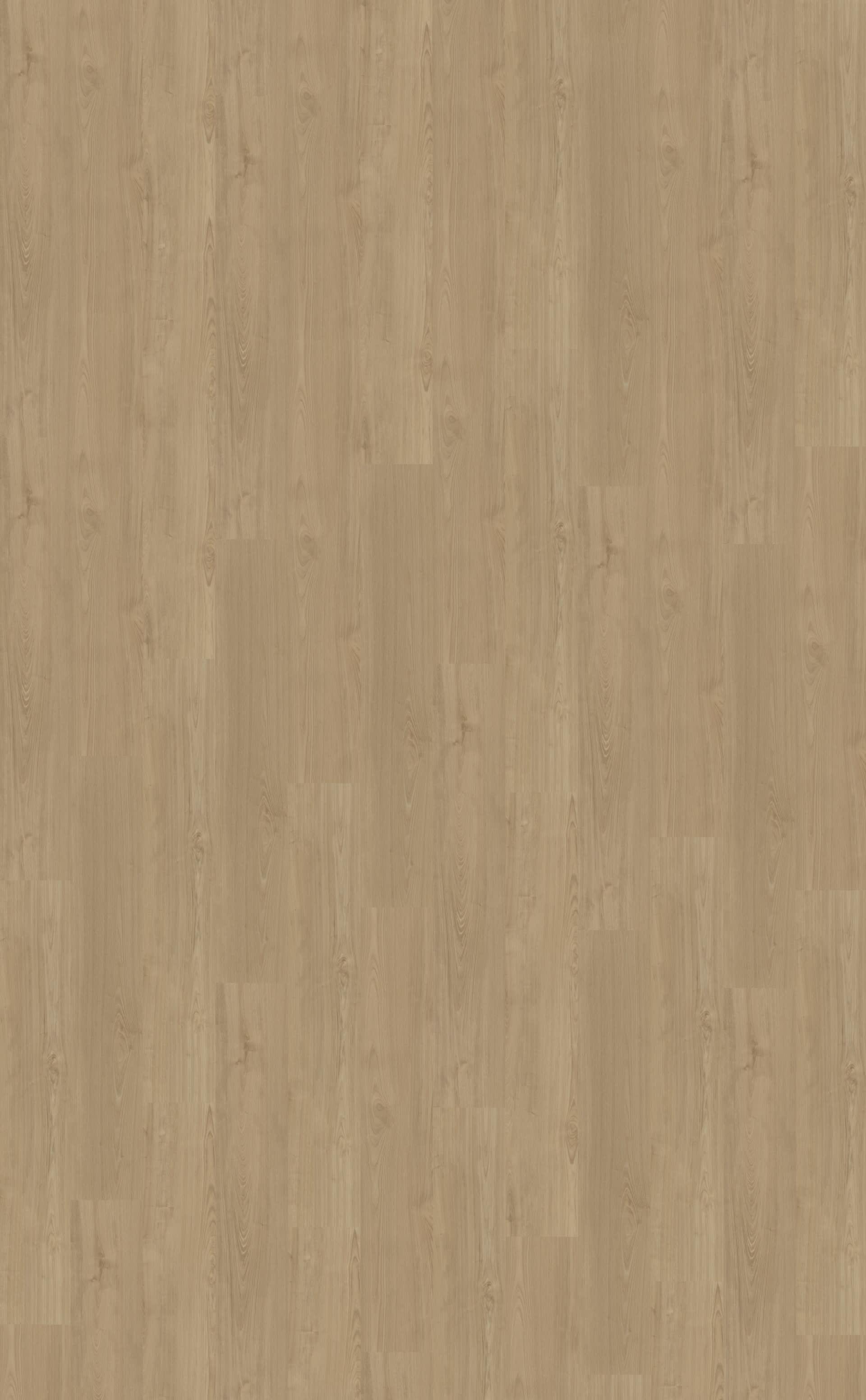 Portico 540 | Rigid Click