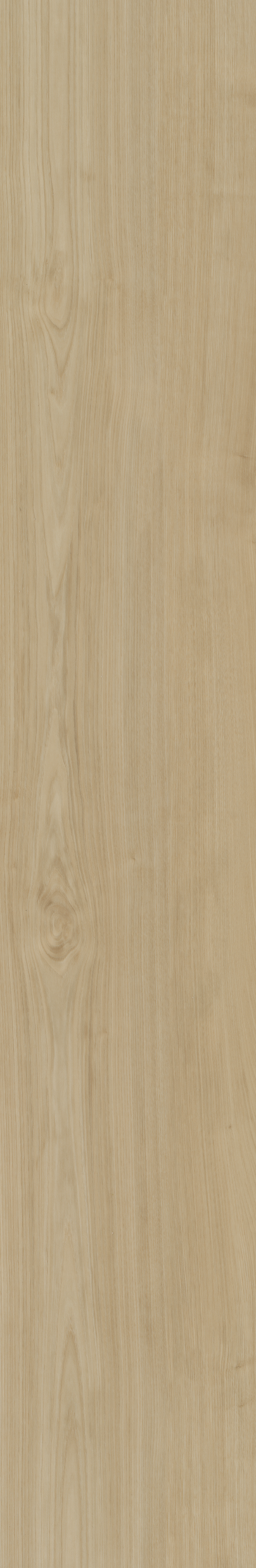 Portico 550 | Rigid Click — Belakos