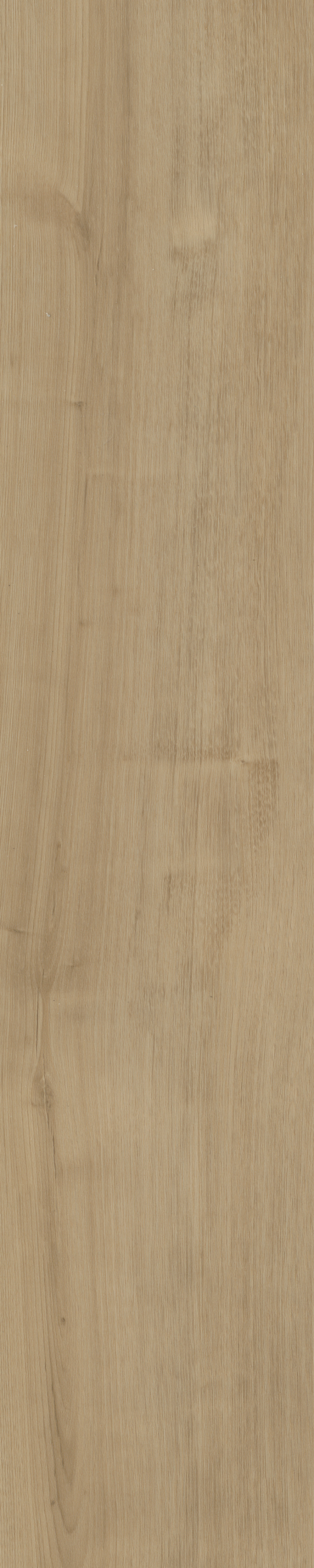 Portico visgraat XL 54 | Rigid Click — Belakos