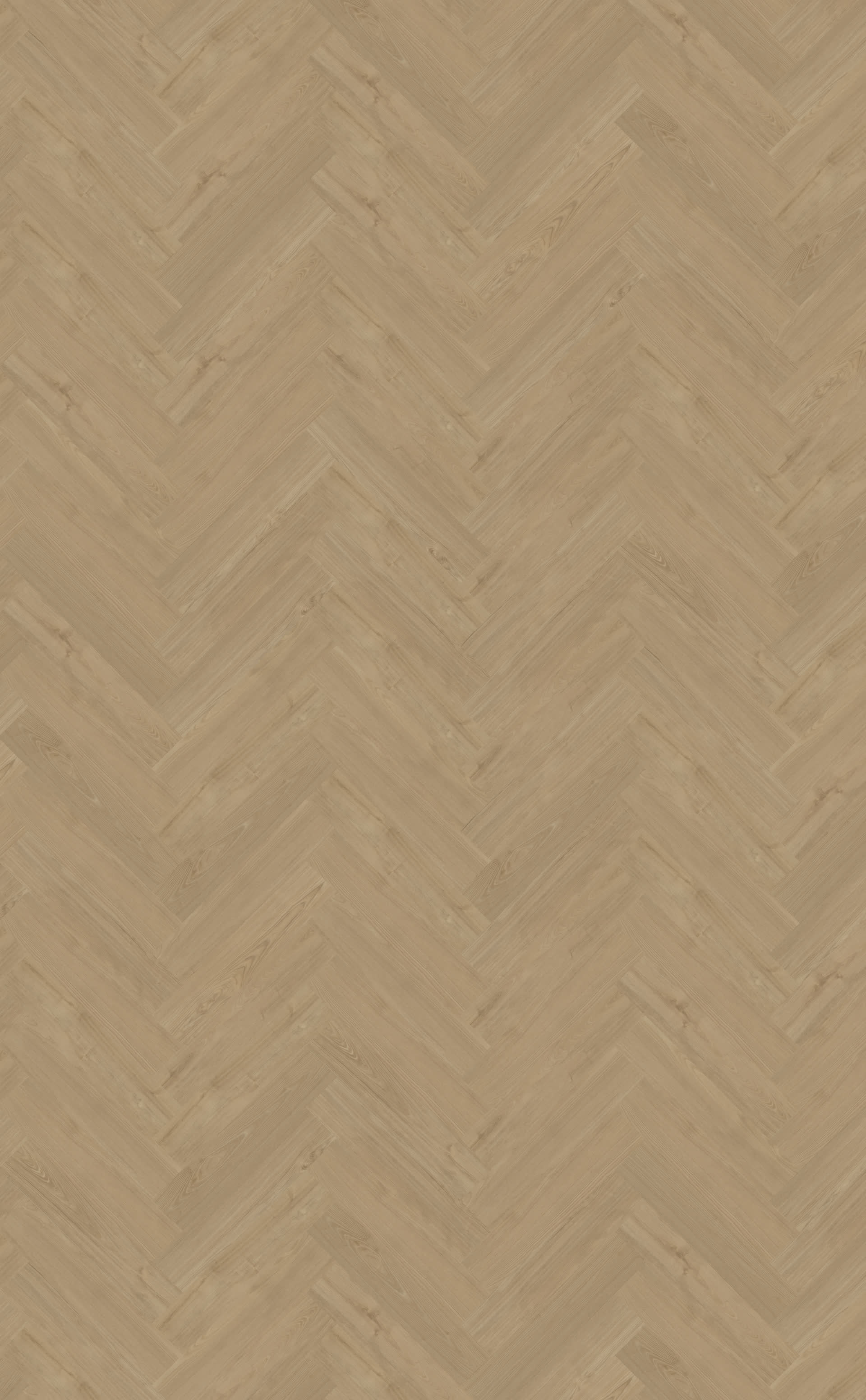 Portico visgraat XL 54 | Rigid Click — Belakos