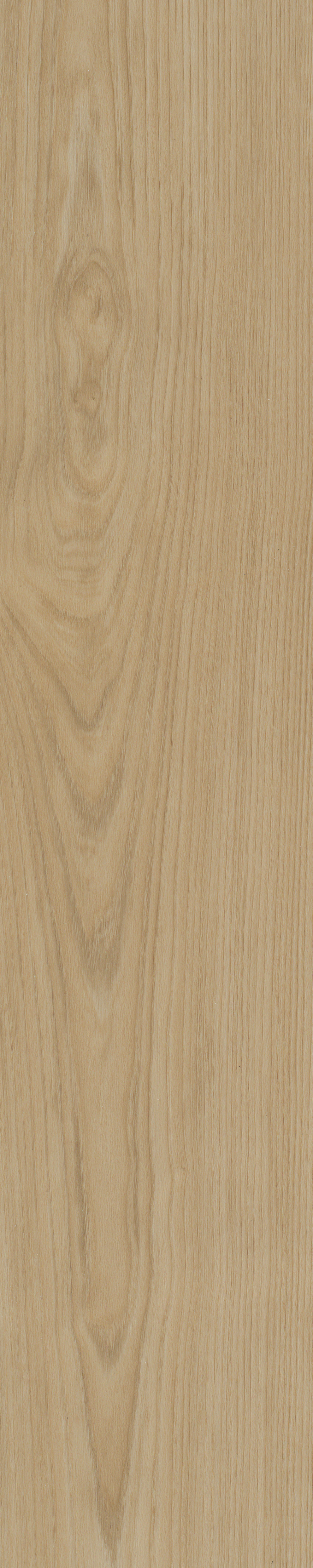 Portico visgraat XL 56 | Rigid Click — Belakos