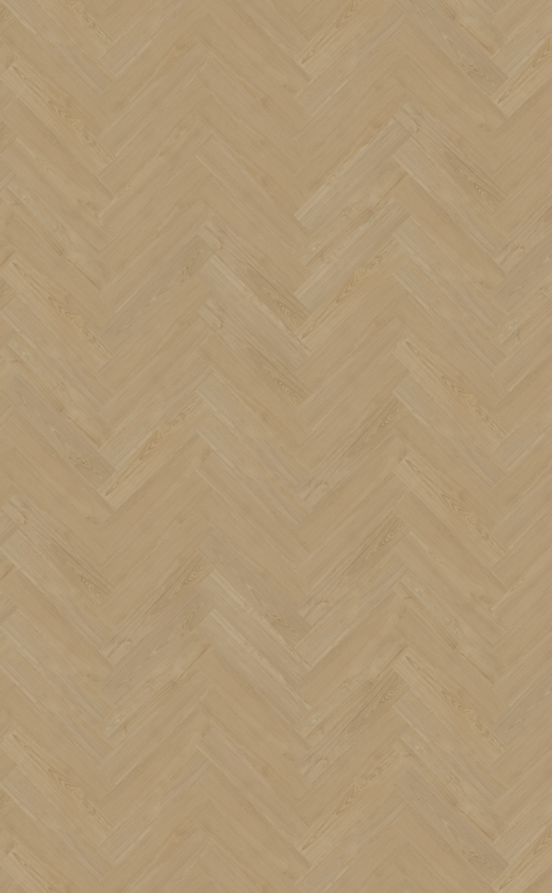 Portico visgraat XL 56 | Rigid Click — Belakos