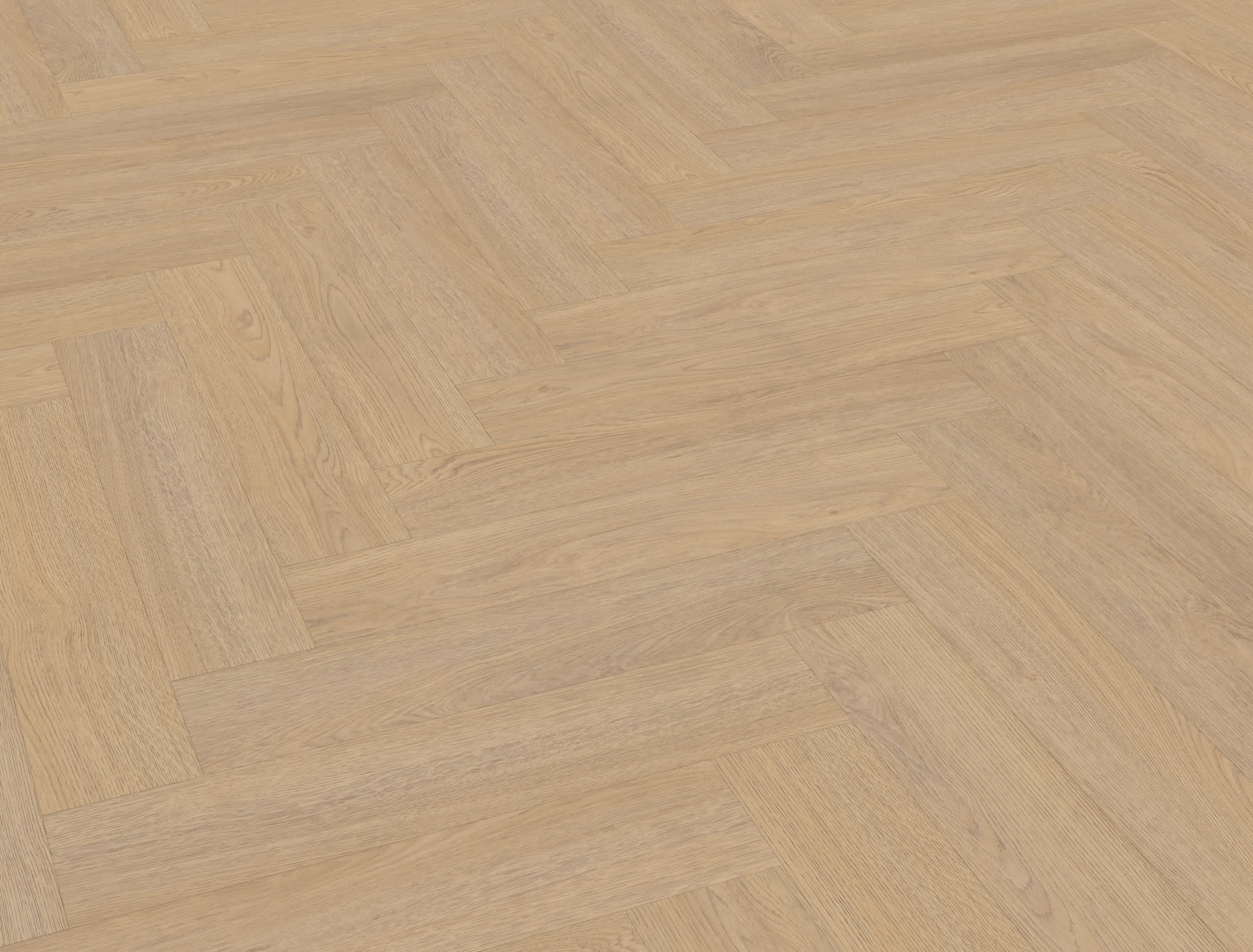 Terreno visgraat XL 61 | Rigid Click — Belakos